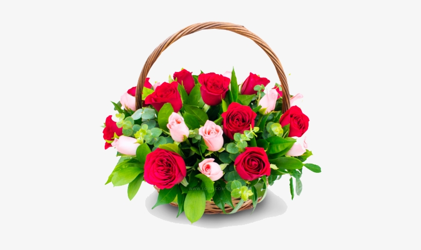 Congratulation Flower Transparent - Birthday Wishesh For Best Freinds, transparent png download