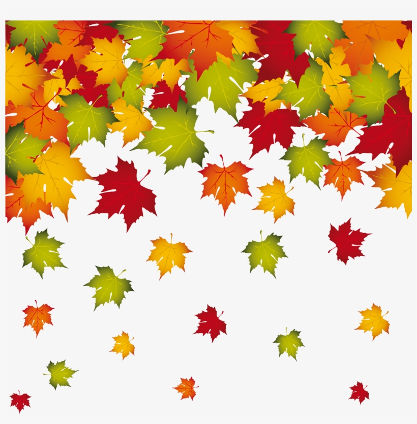 Fall Leaves Transparent, transparent png download