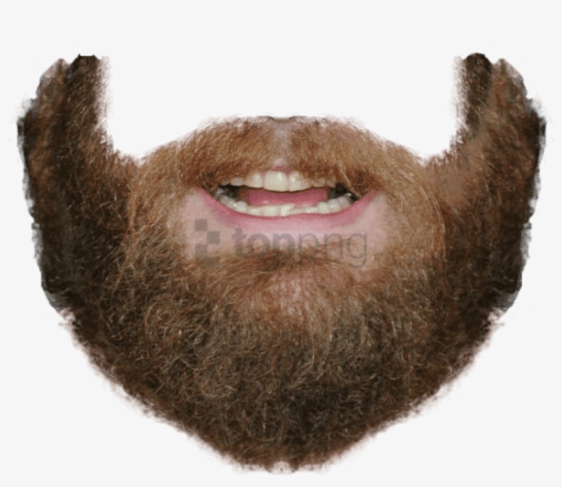 Beard And Mouth - Beard Png, transparent png download