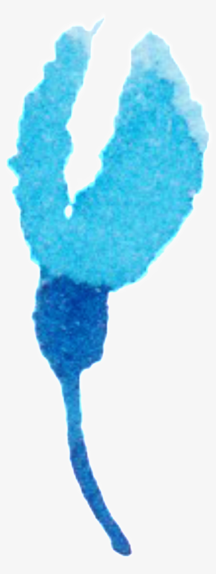 Baby Blue Flower Png - Portable Network Graphics, transparent png download