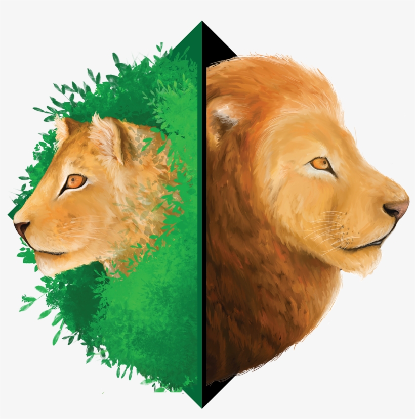 Thank You - Masai Lion, transparent png download