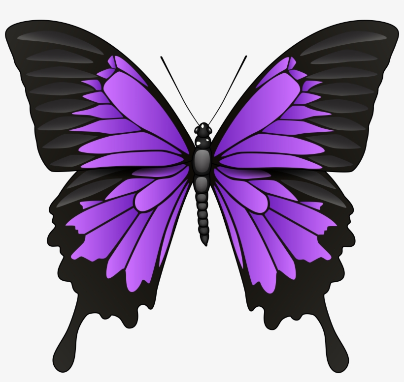 Purple Butterfly Png Clip Art, transparent png download
