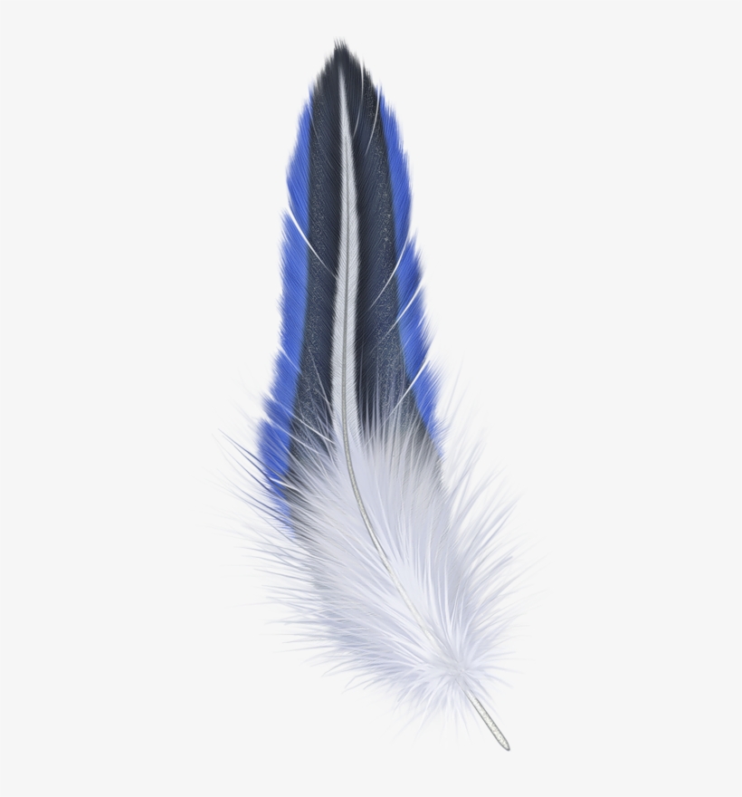 67884f56 - Png Feather, transparent png download