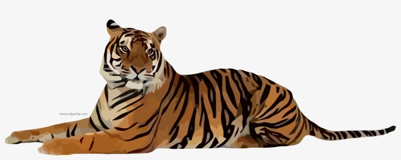 Tiger Png - Tiger Transparent Png, transparent png download