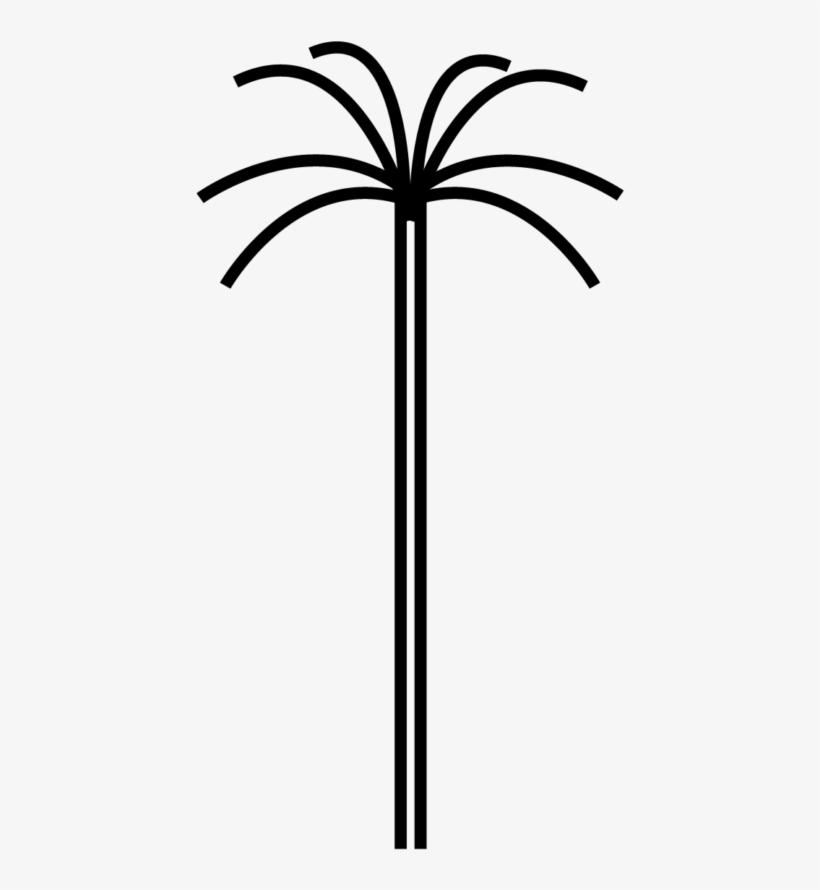 Palm-tree - Attalea Speciosa, transparent png download