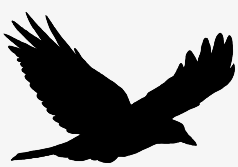 Bird Flying Silhouette - Flying Bird Black Png, transparent png download