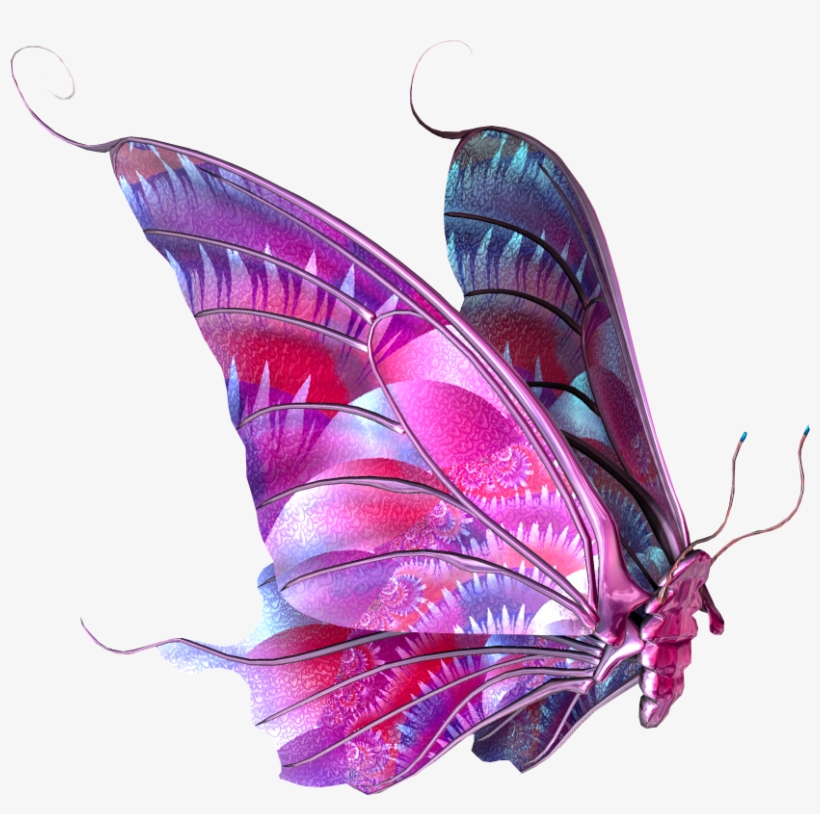 Flying Butterfly Png Image - Flying Butterfly High Res Png, transparent png download