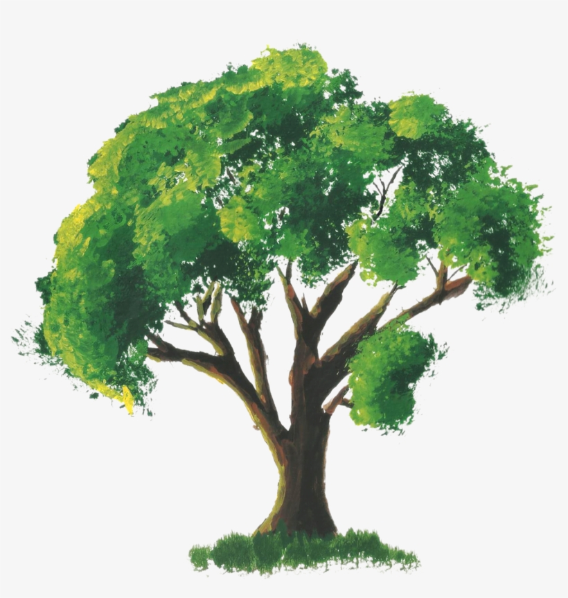 Tree Watercolor Painting Room - Tree Drawing With Leaves, transparent png download