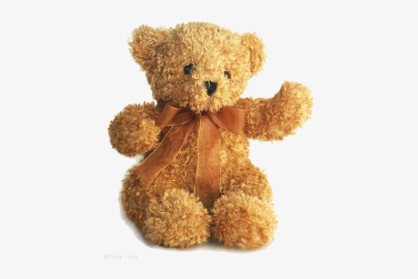 Teddy Bear Png Picture - Teddy Bear Png, transparent png download
