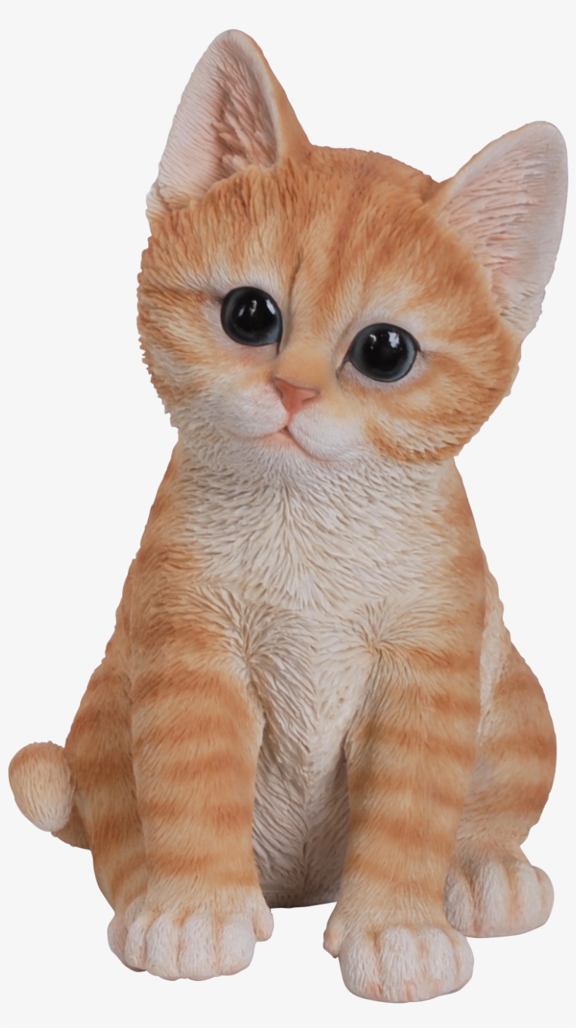 Confused Cat Png - Vivid Arts Pet Pals Playful Kittens Ginger, transparent png download