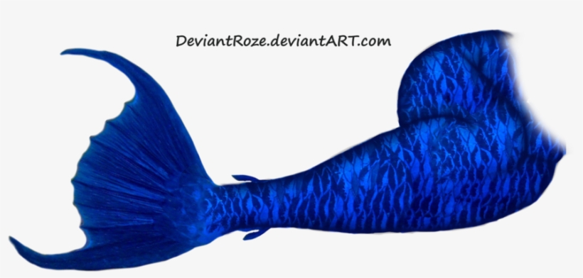 Mermaid Tail Png Picture - Dark Blue Mermaid Tail, transparent png download