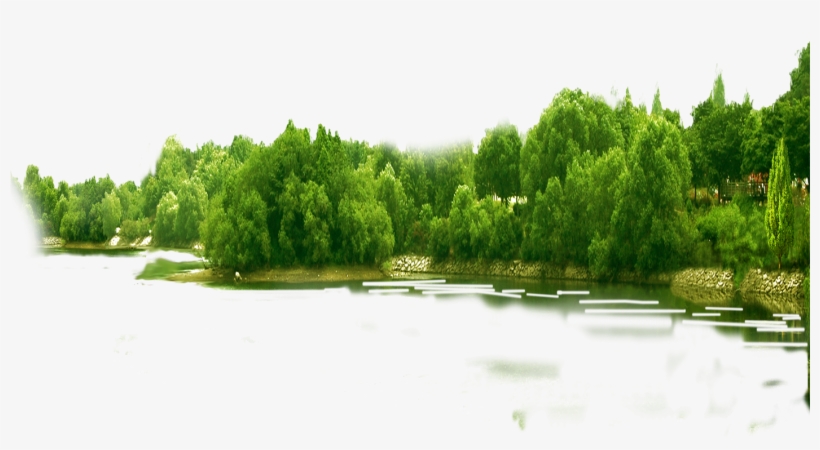 Download Amazing High-quality Latest Png Images Transparent - Forest Png, transparent png download