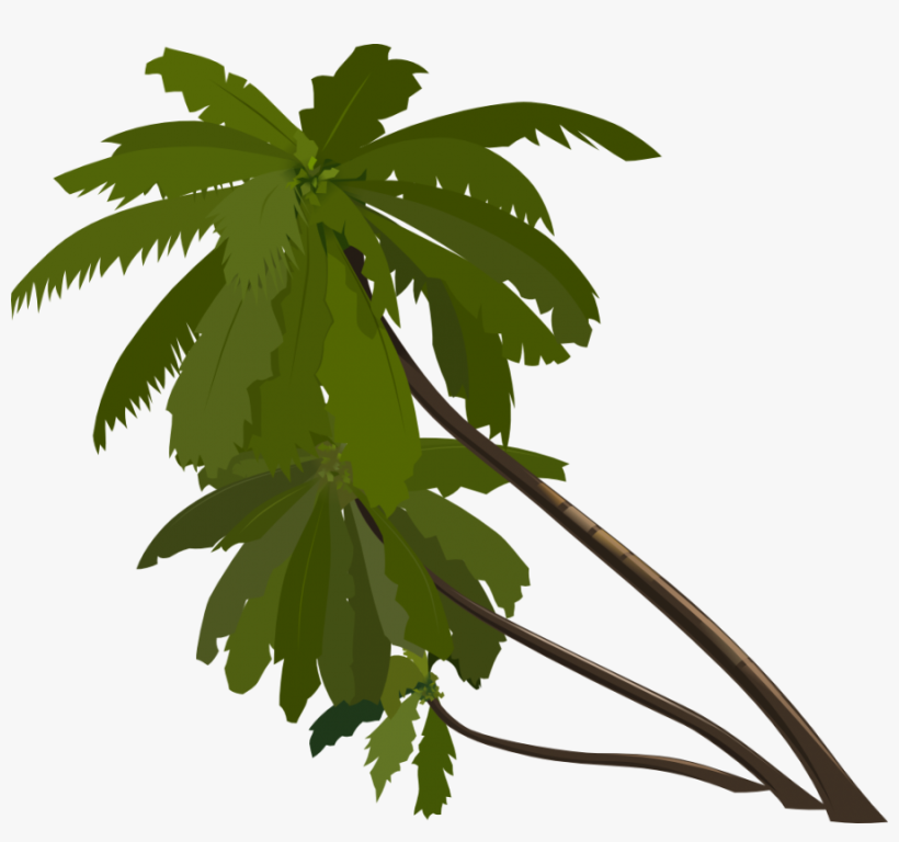 Free Photo Group Palm Trees Slanted Trees Leaning Tropical - Animation Tree Png, transparent png download