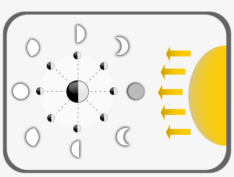 Diagram Of Moon Phases Clip - Moon Phases No Labels, transparent png download