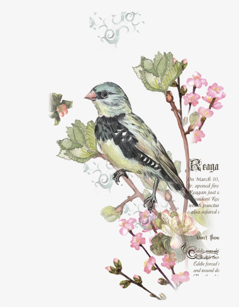 Decoupage - Capa Para Almofada 45x45cm Stm Home Nice Bird, transparent png download