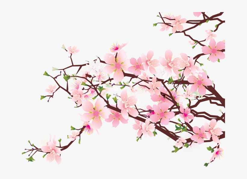 Cliparts With Blossoms Latest Cliparts Are "meant To - Cherry Blossom Png, transparent png download
