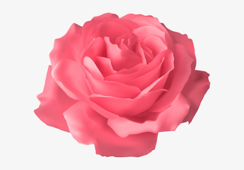 Rose Png - Roses Purple Background Transparent, transparent png download