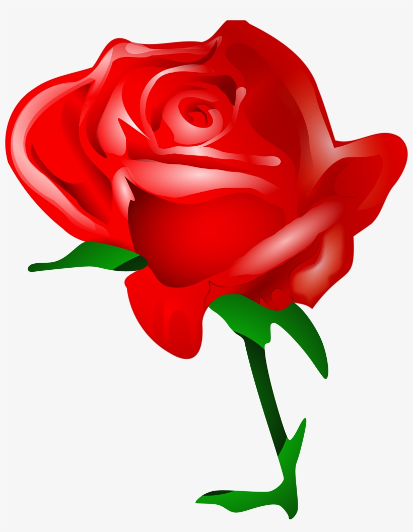 Beautiful Red Flowers, Beautiful Rose, Watercolor, - Rose Download, transparent png download
