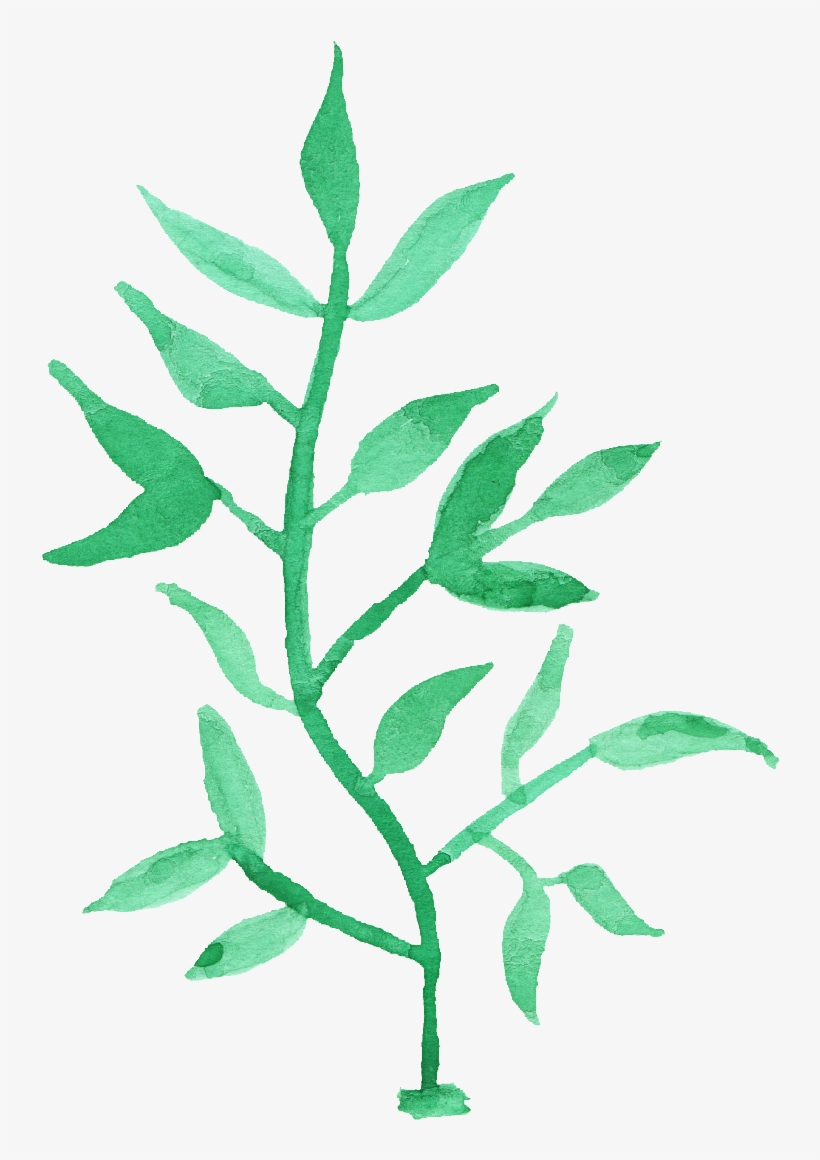 Free Download - Watercolor Leaf Transparent, transparent png download