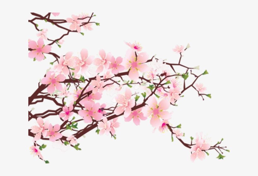Cherry Blossom Transparent Png - Cherry Blossom Art Png, transparent png download