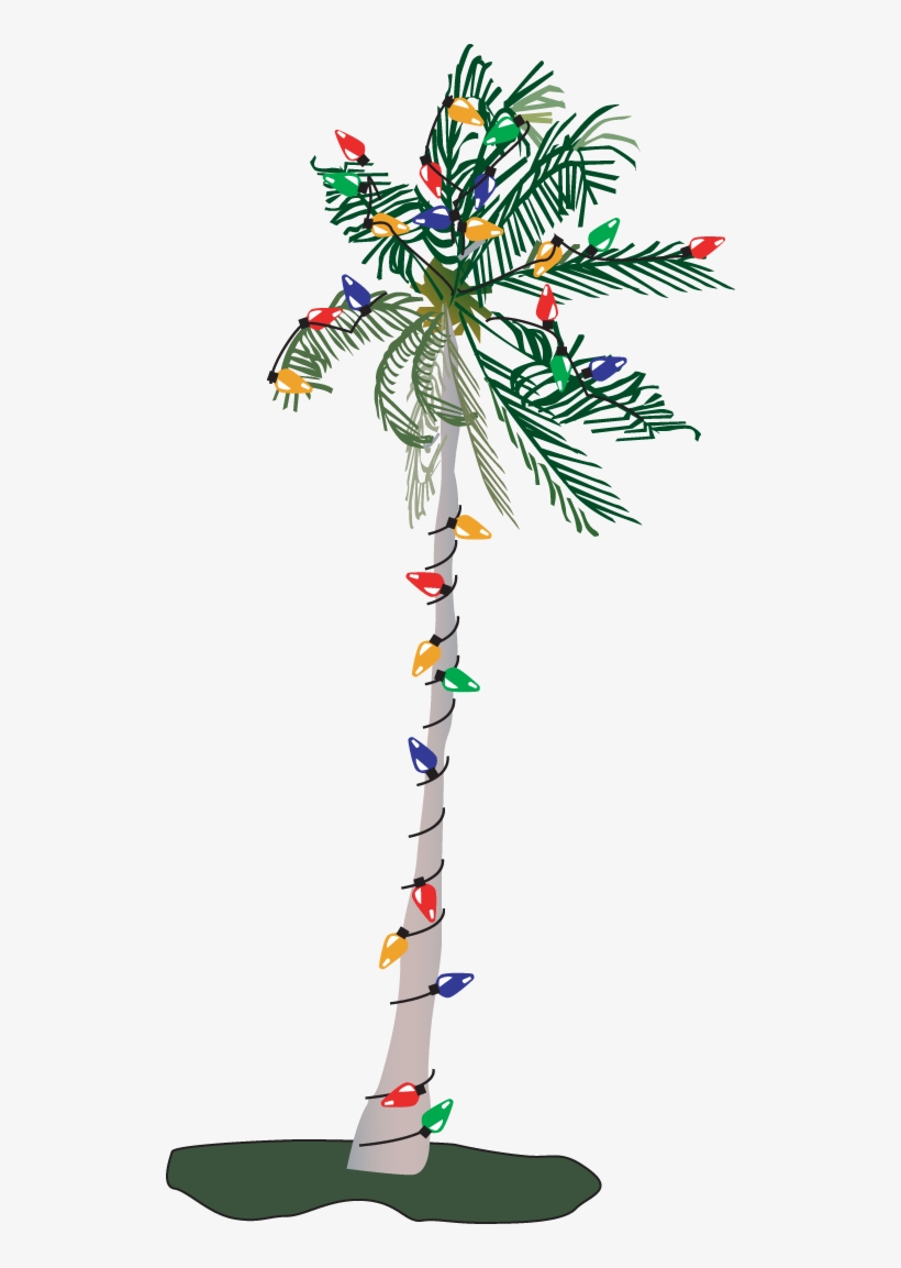 Palm Tree Christmas Tree Png - Christmas Palm Tree Png, transparent png download