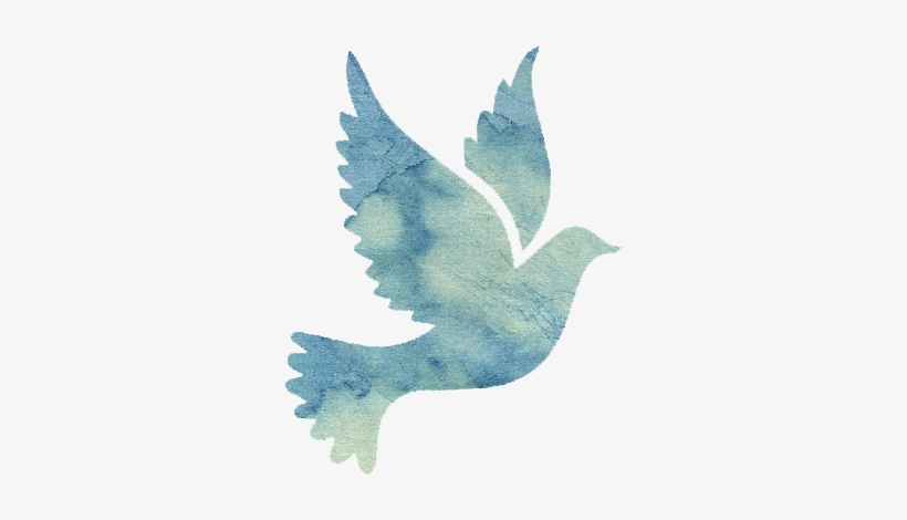 Black Dove, transparent png download