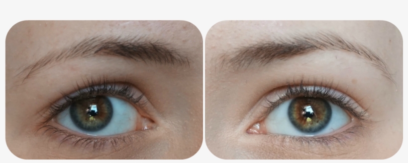 These Are My Eyebrows Without Any Product - Eye Shadow, transparent png download