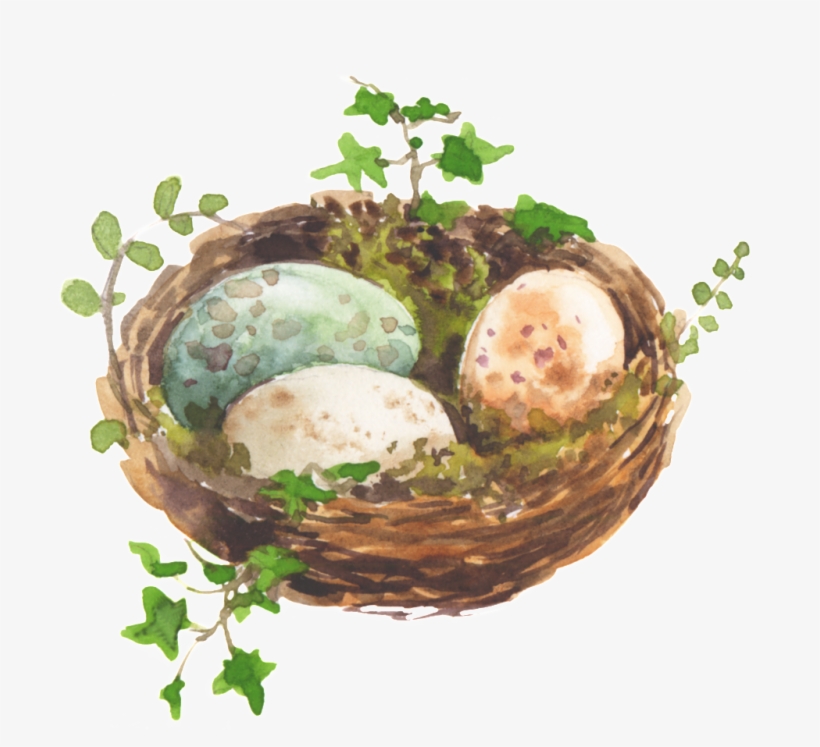 Pet Egg Watercolor Hand Painted Transparent - Watercolor Painting, transparent png download
