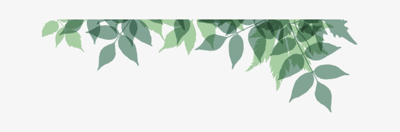 Forests For The Future - Forest Png, transparent png download