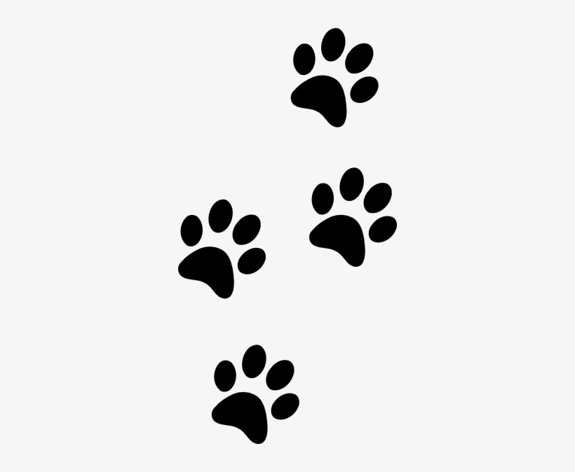 American Kennel Club Canine Health Foundation Best - Paw Print Clip Art Png, transparent png download