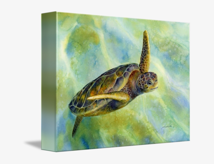 Turtle - " - Sea Turtle 2, transparent png download