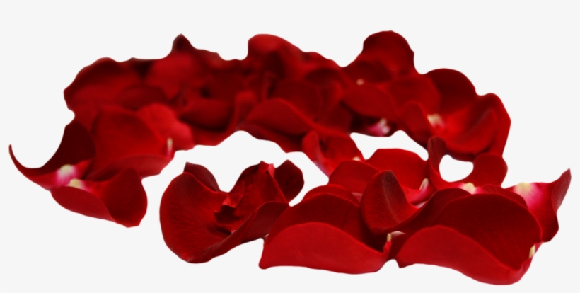 Png Imges Free Download - Nước Hoa Good Girl Đỏ, transparent png download