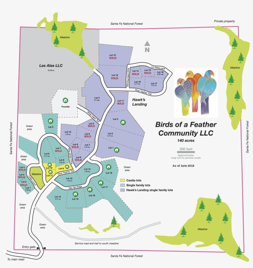 Birds Of A Feather Community Map - Bird, transparent png download