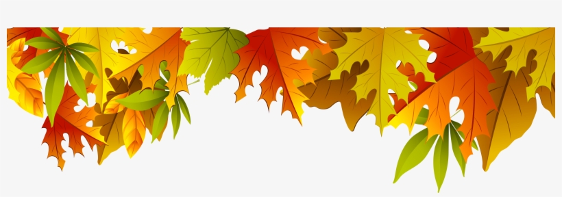 Adoption Star Annual Appeal - Thanksgiving Fall Leaves Png, transparent png download