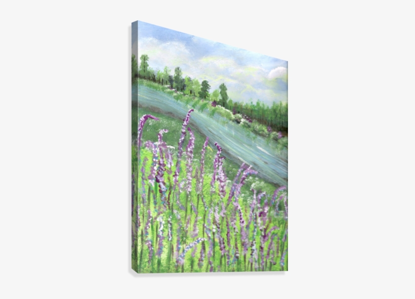 Lavender Riverside Canvas Print - English Lavender, transparent png download