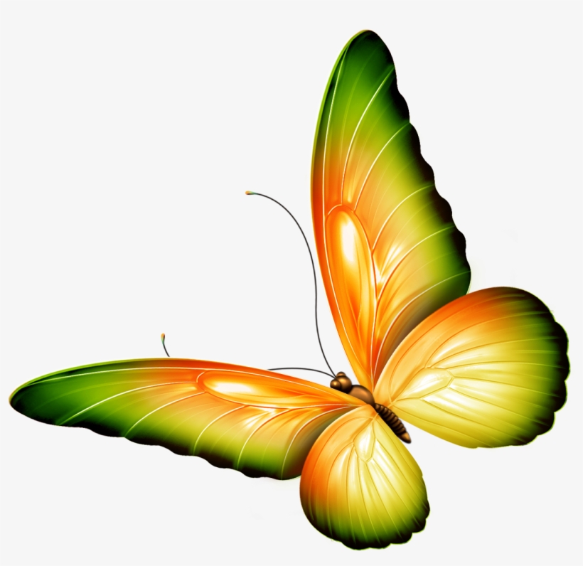 Transparent Clip Art - Clipart Flowers And Butterflies Border, transparent png download