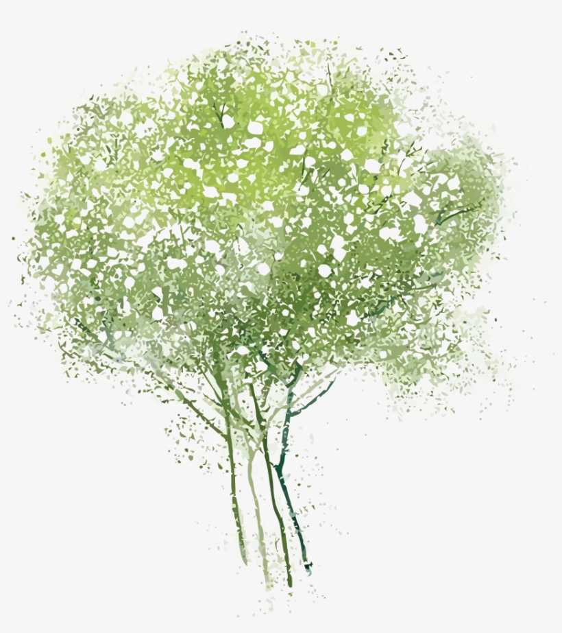 Picture Royalty Free Adobe Illustrator Tree Transprent - Watercolor Painting, transparent png download
