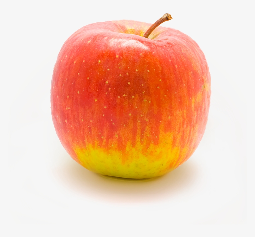 Apple In Lightbox - Apple Transparent Png, transparent png download