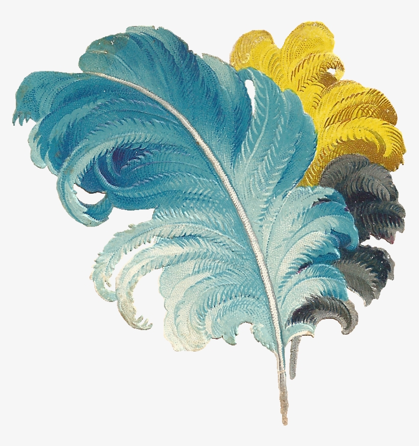 Feather01png Painted Peacock Sandbox - Colorful Feather Png Transparent, transparent png download