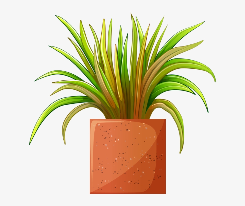Pot Plant Clipart Transparent - Plant Transparent Clipart, transparent png download