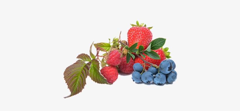 Blueberry Raspberry Strawberry Fruit Blueb - 9e5 Health Drink, transparent png download
