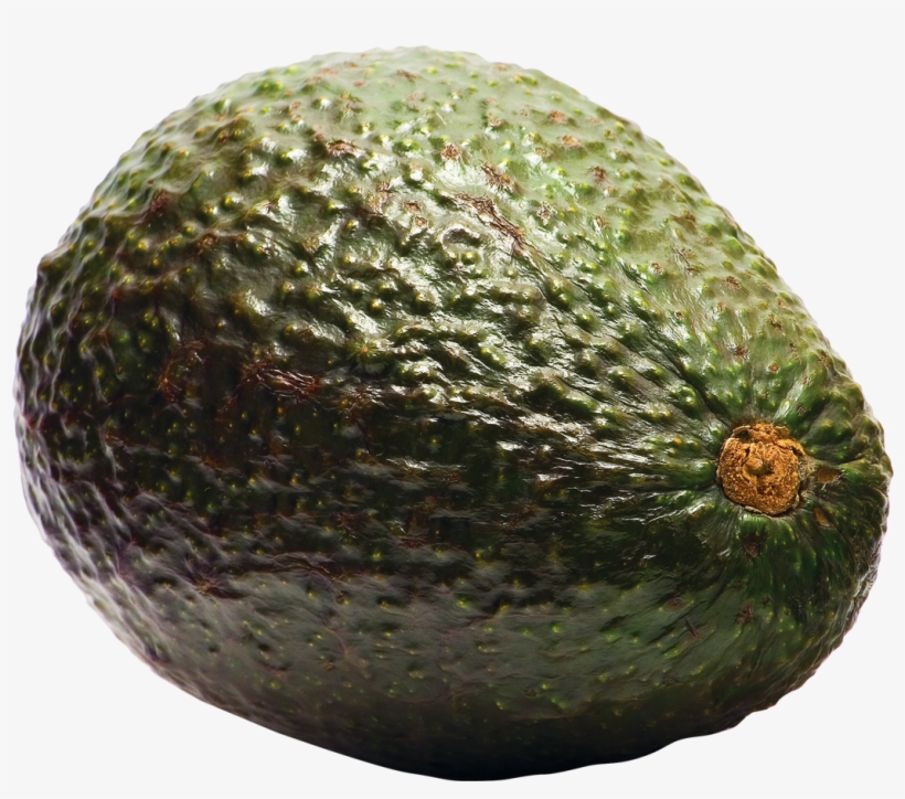 Avocado Png - Avocado, transparent png download
