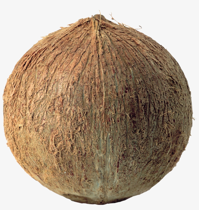 Coconut Png, transparent png download
