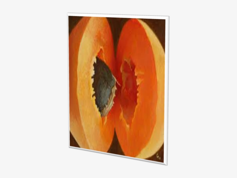 Standardize The Ph With Solution Of Ph - Corn Poppy, transparent png download