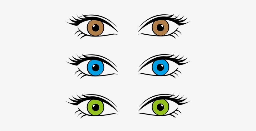 Eyes Eye Color Iris Brown Blue Green Optic - Color De Ojos Dibujo, transparent png download