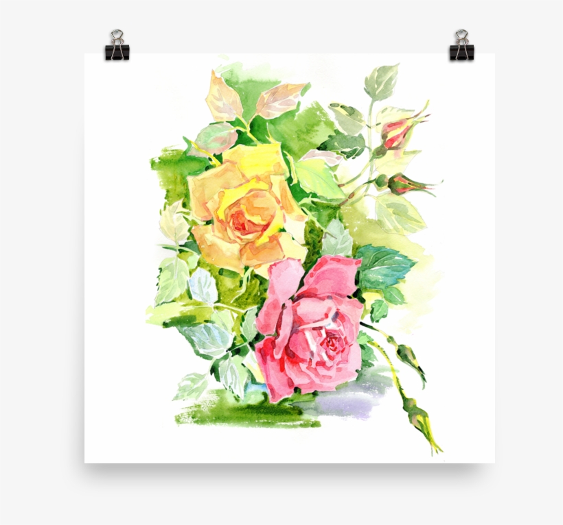 Bright And Floral Rose Watercolour Print Matte Poster - Watercolor Painting, transparent png download