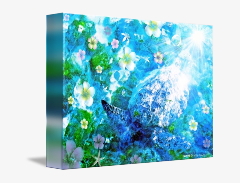 "sea Shield" By Laura Isola, Honolulu - Baby Blue Eyes, transparent png download