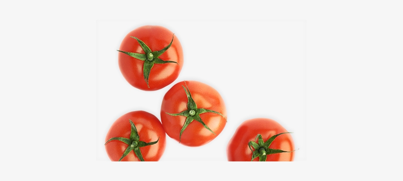 Contact Us - Tomato From Above Png, transparent png download