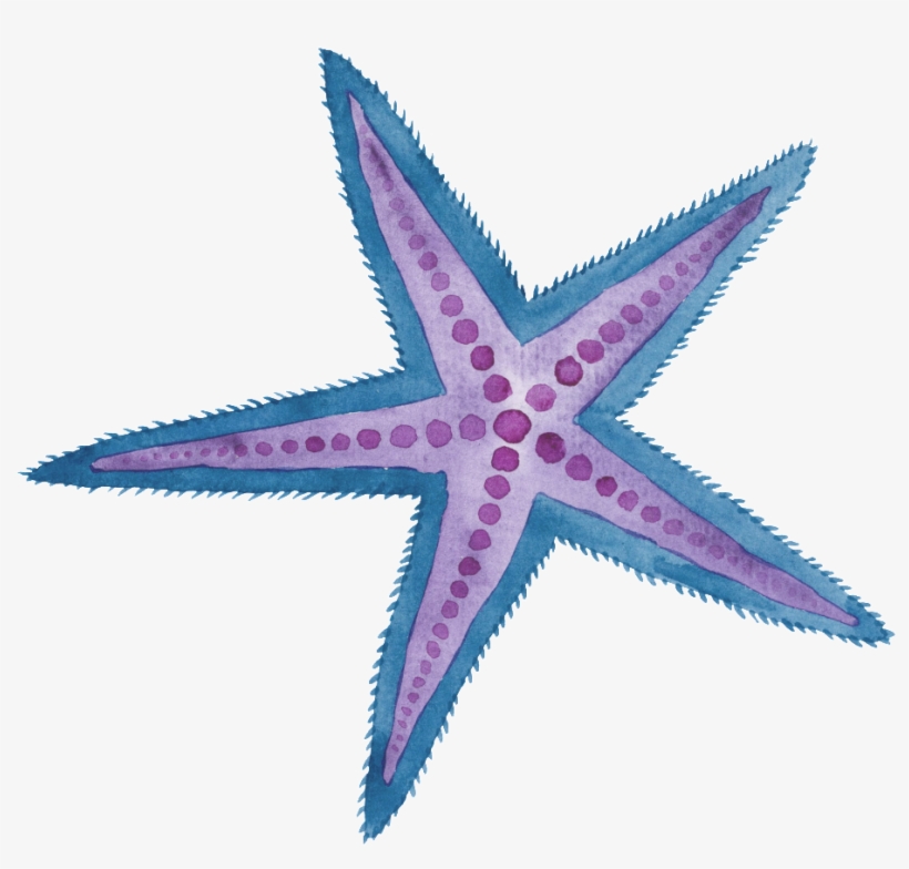 Two Color Hand Painted Starfish Cartoon Watercolor - Purple Sea Star Watercolor, transparent png download