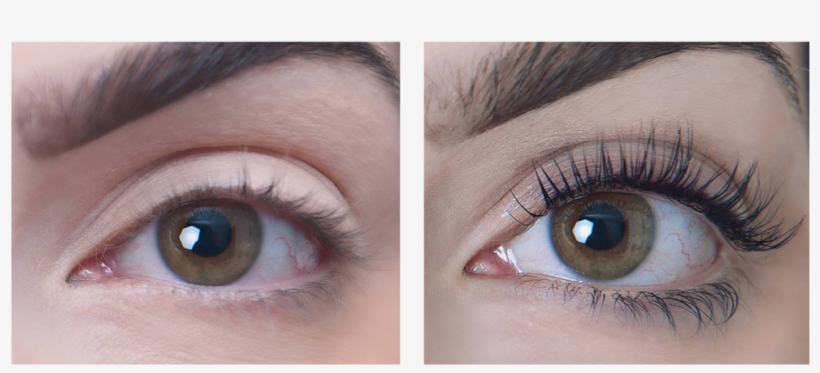 Lash-lift1 - Very Natural Eyelash Extensions, transparent png download